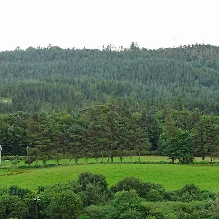 Forrest View Ferienhaus